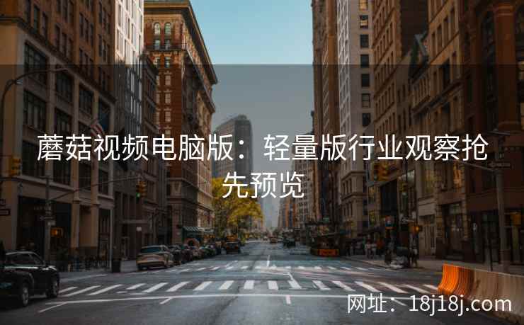 蘑菇视频电脑版：轻量版行业观察抢先预览