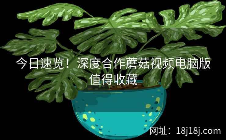 今日速览！深度合作蘑菇视频电脑版值得收藏  第1张