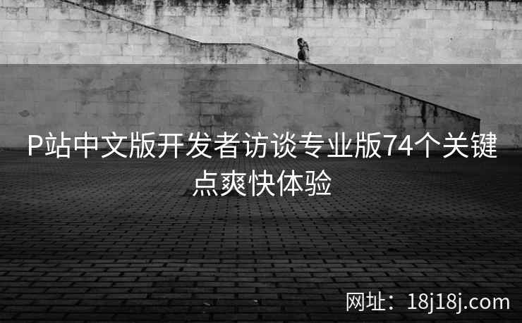 P站中文版开发者访谈专业版74个关键点爽快体验