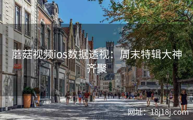 蘑菇视频ios数据透视：周末特辑大神齐聚